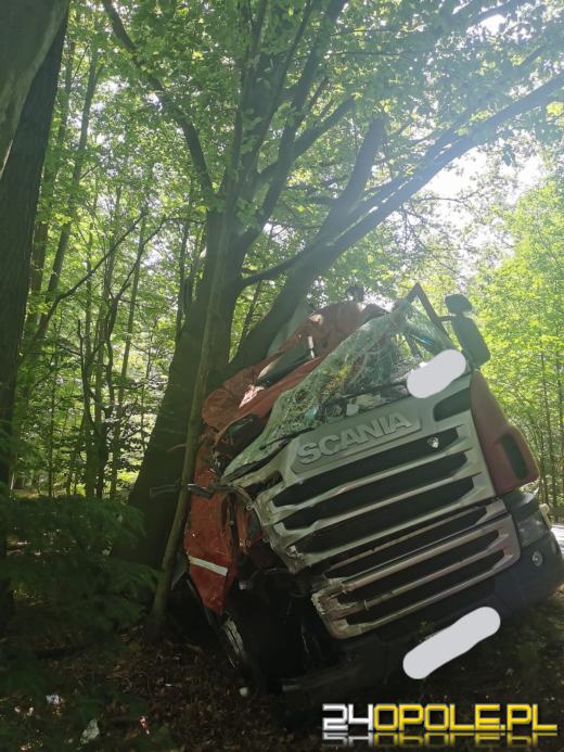 Kierowca ciężarówki uderzył w pojazd i zjechał na przydrożne drzewo
