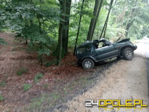 Kierowca ciężarówki uderzył w pojazd i zjechał na przydrożne drzewo