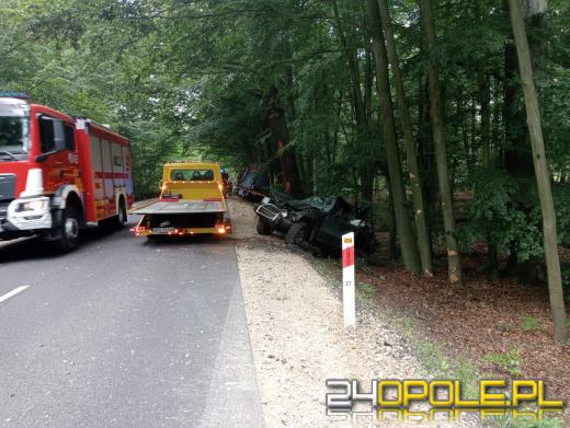 Kierowca ciężarówki uderzył w pojazd i zjechał na przydrożne drzewo