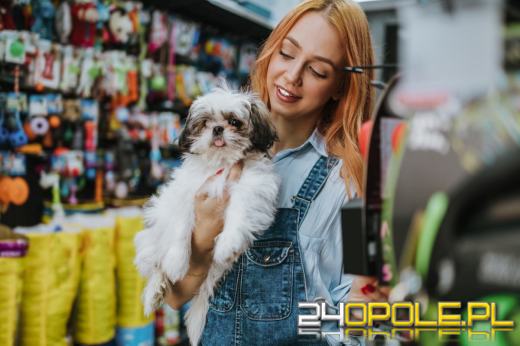 Z psem do sklepu. Można, czy nie można?