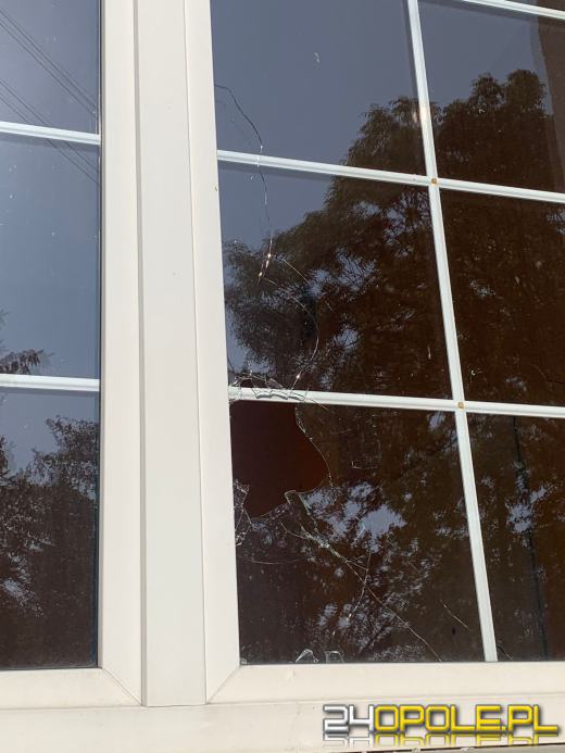 Fundacja DOM załamuje ręce. Budynek w Opolu-Winowie padł ofiarą wandali