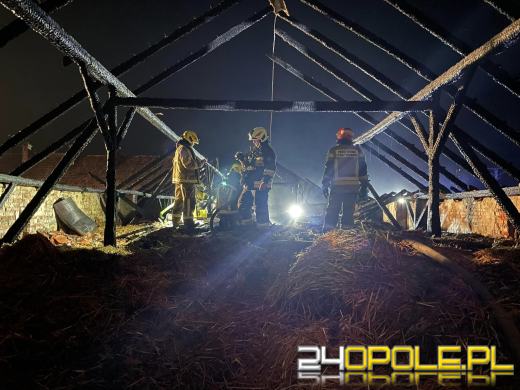 Pożar stodoły w Gogolinie. Strażacy 5 godzin walczyli z ogniem
