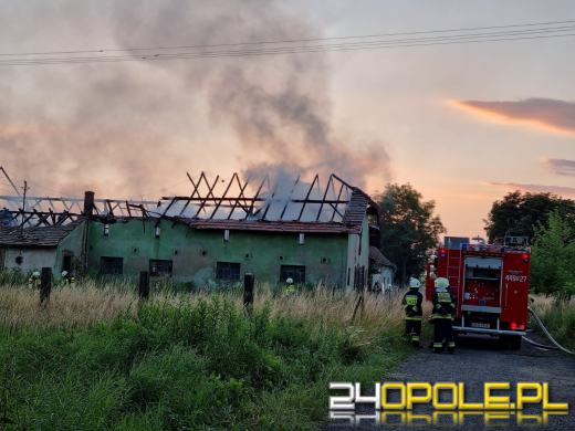 Pożar stodoły w Gogolinie. Strażacy 5 godzin walczyli z ogniem