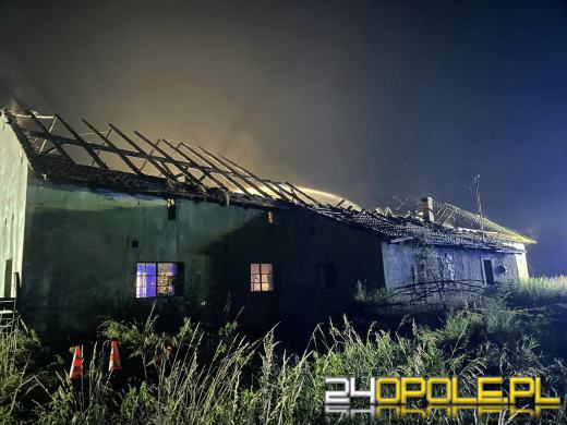 Pożar stodoły w Gogolinie. Strażacy 5 godzin walczyli z ogniem