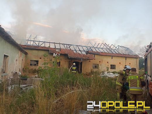 Pożar stodoły w Gogolinie. Strażacy 5 godzin walczyli z ogniem