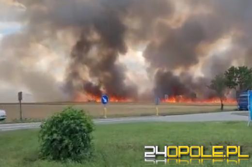 Pali się zboże w okolicach Byczyny. Działania straży utrudnia wiatr