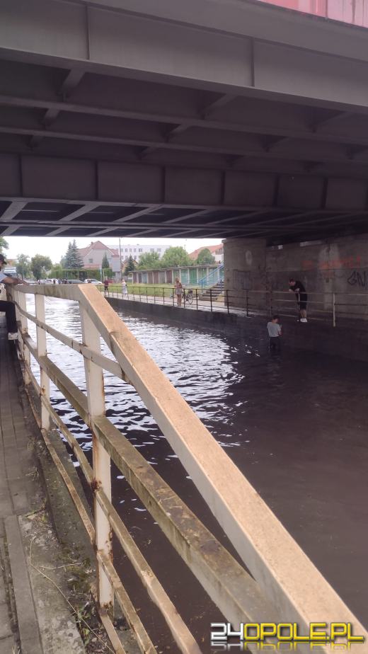 Strażacy wstępnie podsumowali działania w związku z przejściem burz