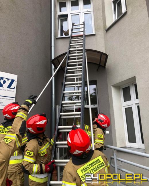 Kot zaklinował się w oknie. Pomogli strażacy