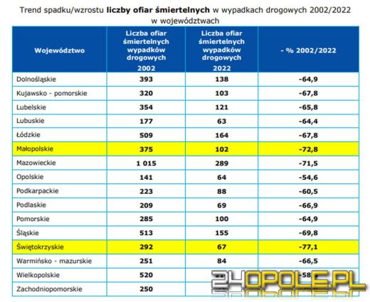 Na polskich drogach jest coraz bezpieczniej (RAPORT)