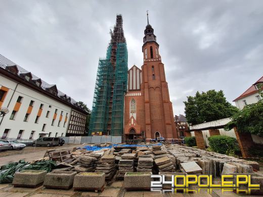 Po 7 miesiącach archeolodzy wrócili do Katedry