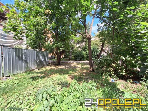 Opole od podwórka strony
