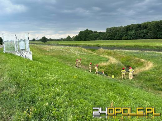 Nie zauważył rowu i do niego wjechał