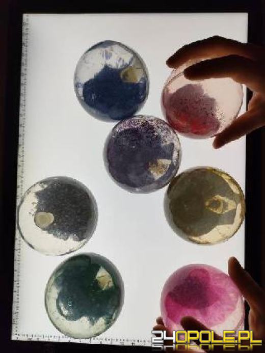 Przygotuj się na nowy rok szkolny z ProPracownia Opole