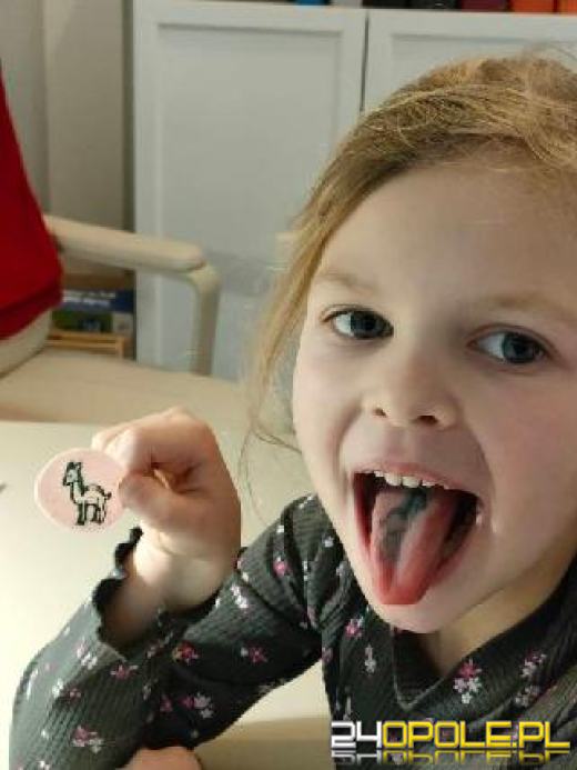 Przygotuj się na nowy rok szkolny z ProPracownia Opole