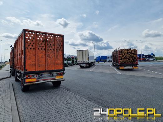 Miały być rutynowe kontrole, a skończyło się mandatami i zakazem dalszej jazdy