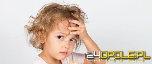 Pasażer na gapę przywieziony z kolonii