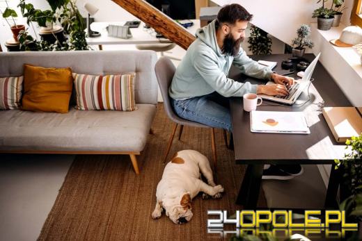 Przybywa przedsiębiorców na Opolszczyźnie