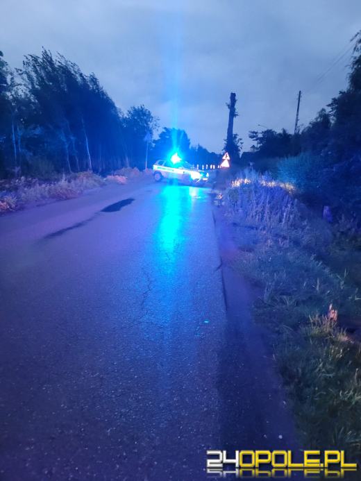 Samochód wypadł z drogi i uderzył w słup