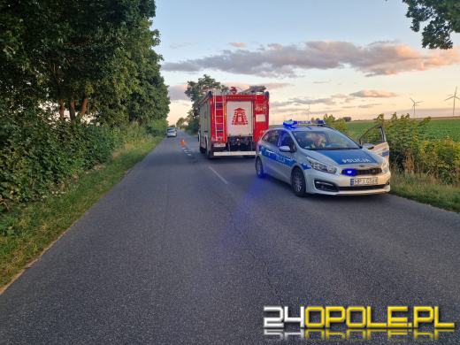 Wypadek 2 samochodów osobowych na trasie Jakubowice-Krzyków