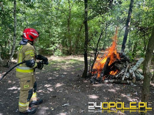 Ognisko w środku lasu. Strażacy zareagowali błyskawicznie