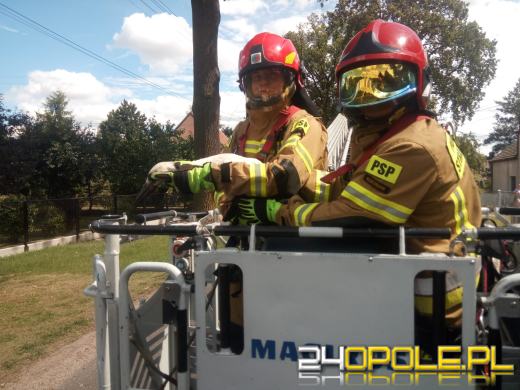 Bocian w tarapatach. Pomogli strażacy 