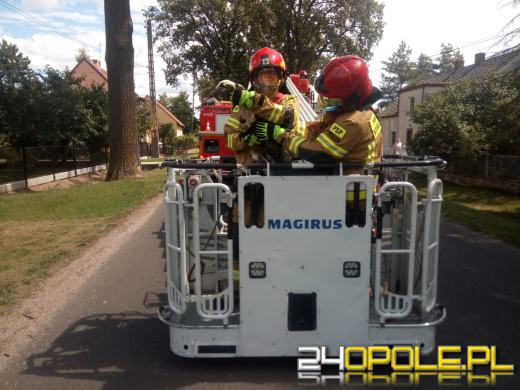 Bocian w tarapatach. Pomogli strażacy 