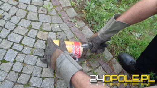 Chłopiec znalazł jeża w tarapatach. Pomogli strażnicy miejscy