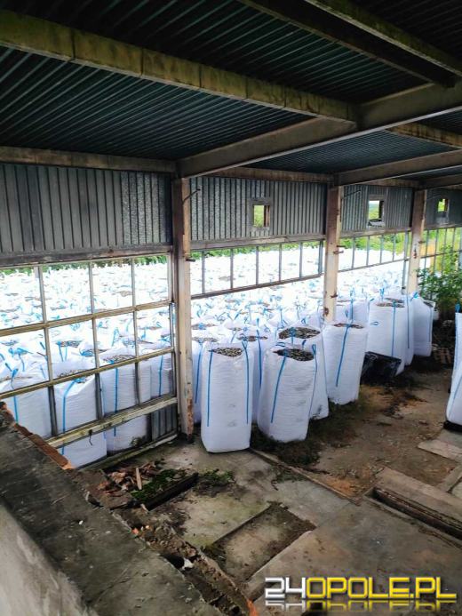 Nielegalne wysypisko i 620 ton odpadów. Obywatelka Chin usłyszała zarzuty