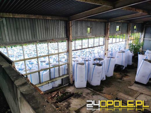 Nielegalne wysypisko i 620 ton odpadów. Obywatelka Chin usłyszała zarzuty