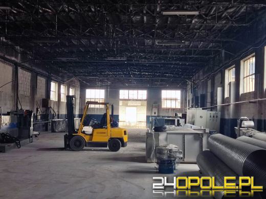 Nielegalne wysypisko i 620 ton odpadów. Obywatelka Chin usłyszała zarzuty