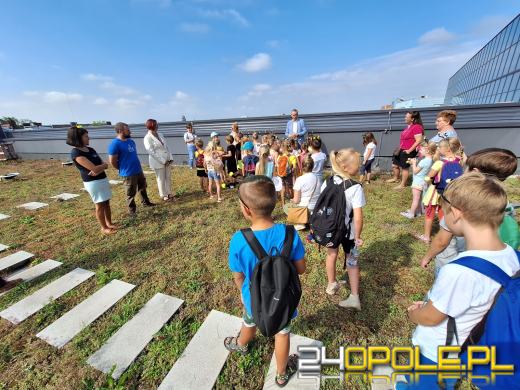 Zebrano pierwszy miód z Pasieki w CUP