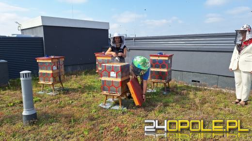 Zebrano pierwszy miód z Pasieki w CUP