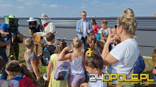 Zebrano pierwszy miód z Pasieki w CUP