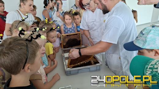 Zebrano pierwszy miód z Pasieki w CUP