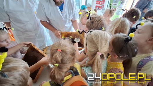 Zebrano pierwszy miód z Pasieki w CUP