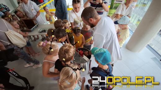 Zebrano pierwszy miód z Pasieki w CUP