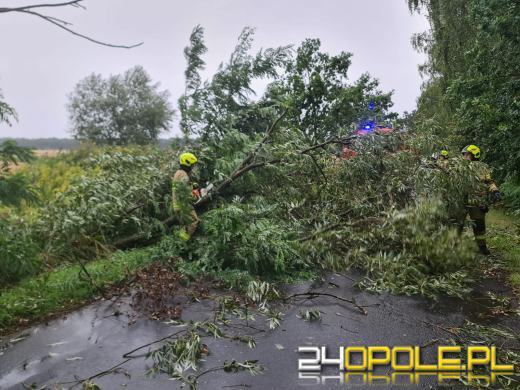 Kolejny front burzowy nad Opolszczyzną. Jeszcze więcej pracy strażaków