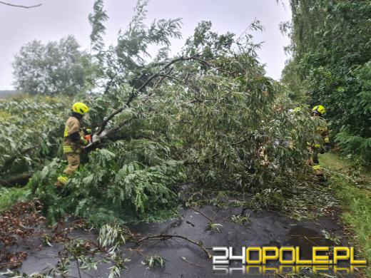 Kolejny front burzowy nad Opolszczyzną. Jeszcze więcej pracy strażaków