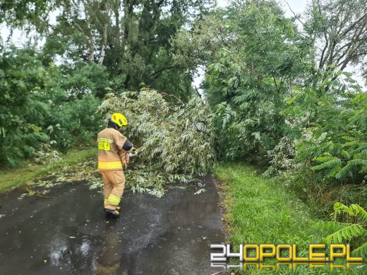 Kolejny front burzowy nad Opolszczyzną. Jeszcze więcej pracy strażaków