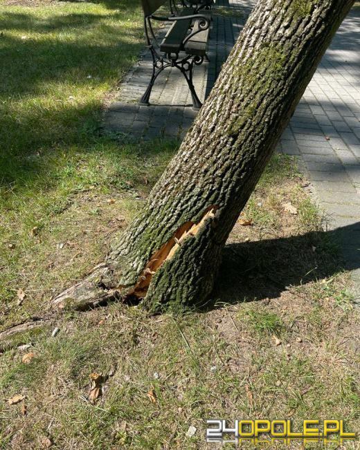 Kolejny front burzowy nad Opolszczyzną. Jeszcze więcej pracy strażaków