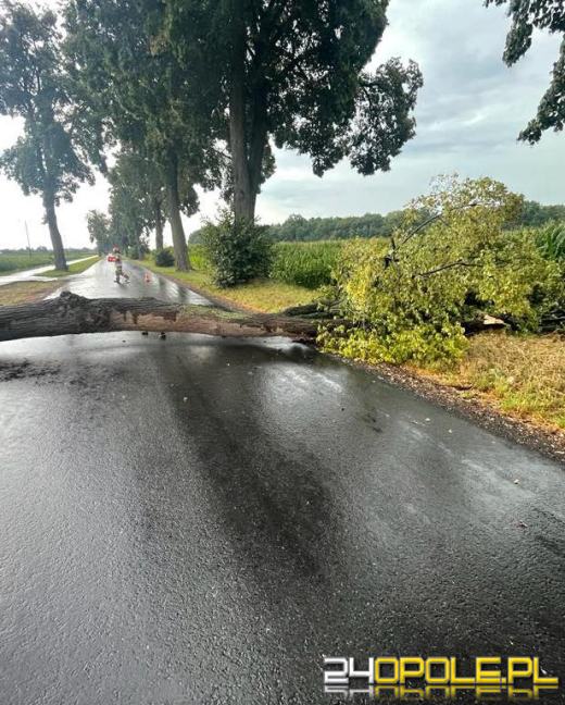 Kolejny front burzowy nad Opolszczyzną. Jeszcze więcej pracy strażaków