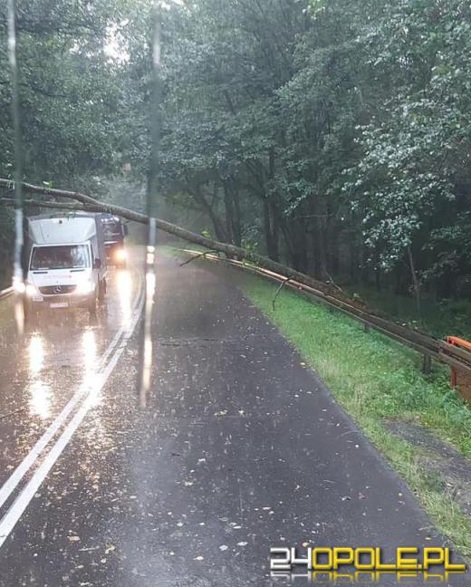 Kolejny front burzowy nad Opolszczyzną. Jeszcze więcej pracy strażaków