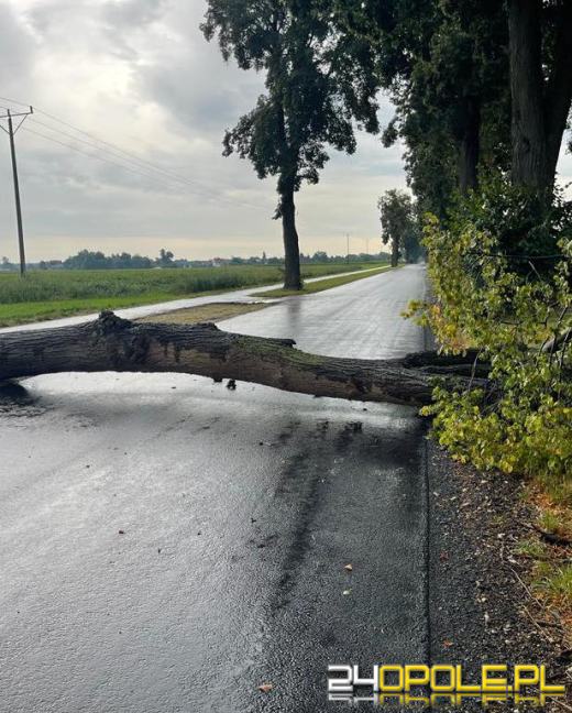 Kolejny front burzowy nad Opolszczyzną. Jeszcze więcej pracy strażaków