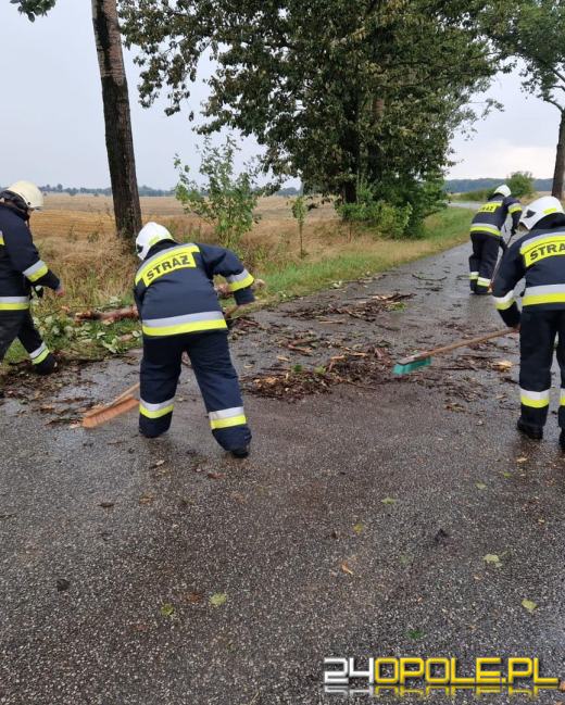 Kolejny front burzowy nad Opolszczyzną. Jeszcze więcej pracy strażaków