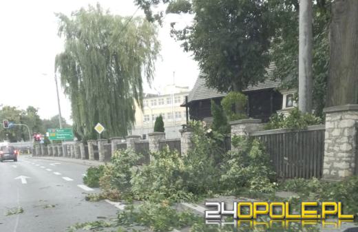 Kolejny front burzowy nad Opolszczyzną. Jeszcze więcej pracy strażaków