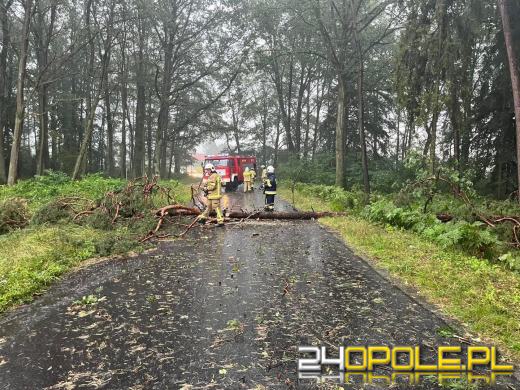 Kolejny front burzowy nad Opolszczyzną. Jeszcze więcej pracy strażaków