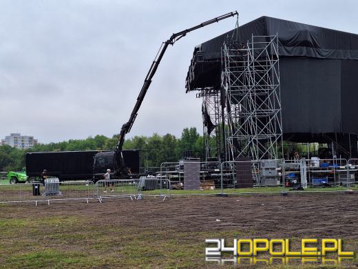 Politycy Platformy Obywatelskiej: "Ten koncert można było zrobić bez szkody dla zieleni"