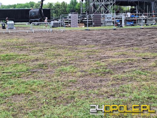 Politycy Platformy Obywatelskiej: "Ten koncert można było zrobić bez szkody dla zieleni"