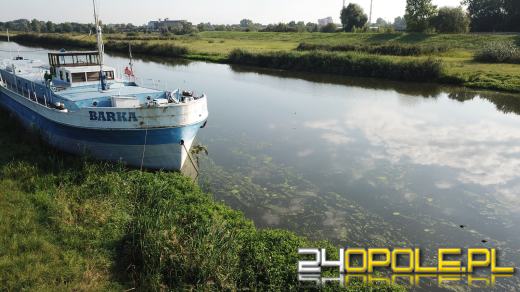 Odra i Kanał Ulgi zazieleniły się