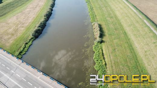 Odra i Kanał Ulgi zazieleniły się